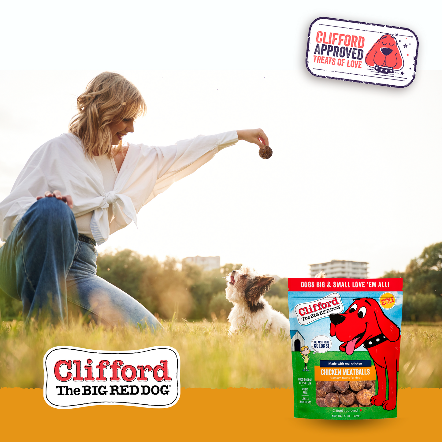 Clifford® Chicken Meatballs 24 oz