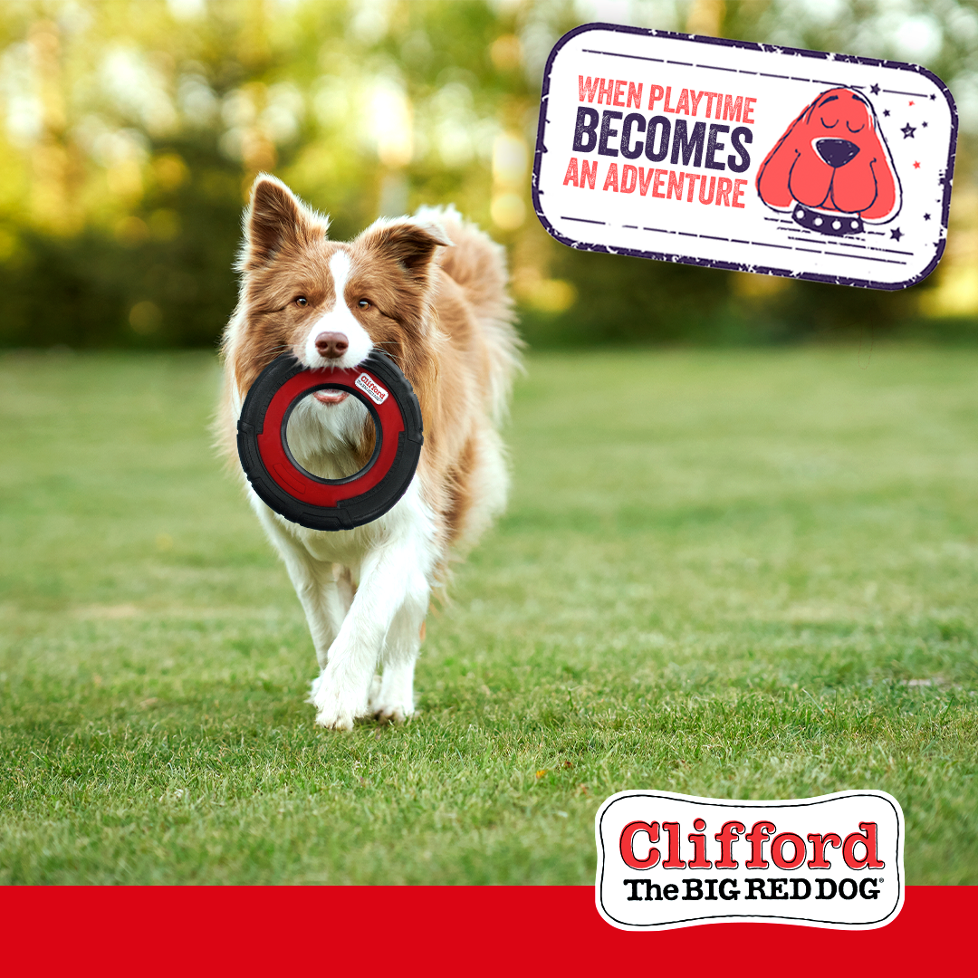 Clifford® Flying Disc 9.25" Durable Dog Toy